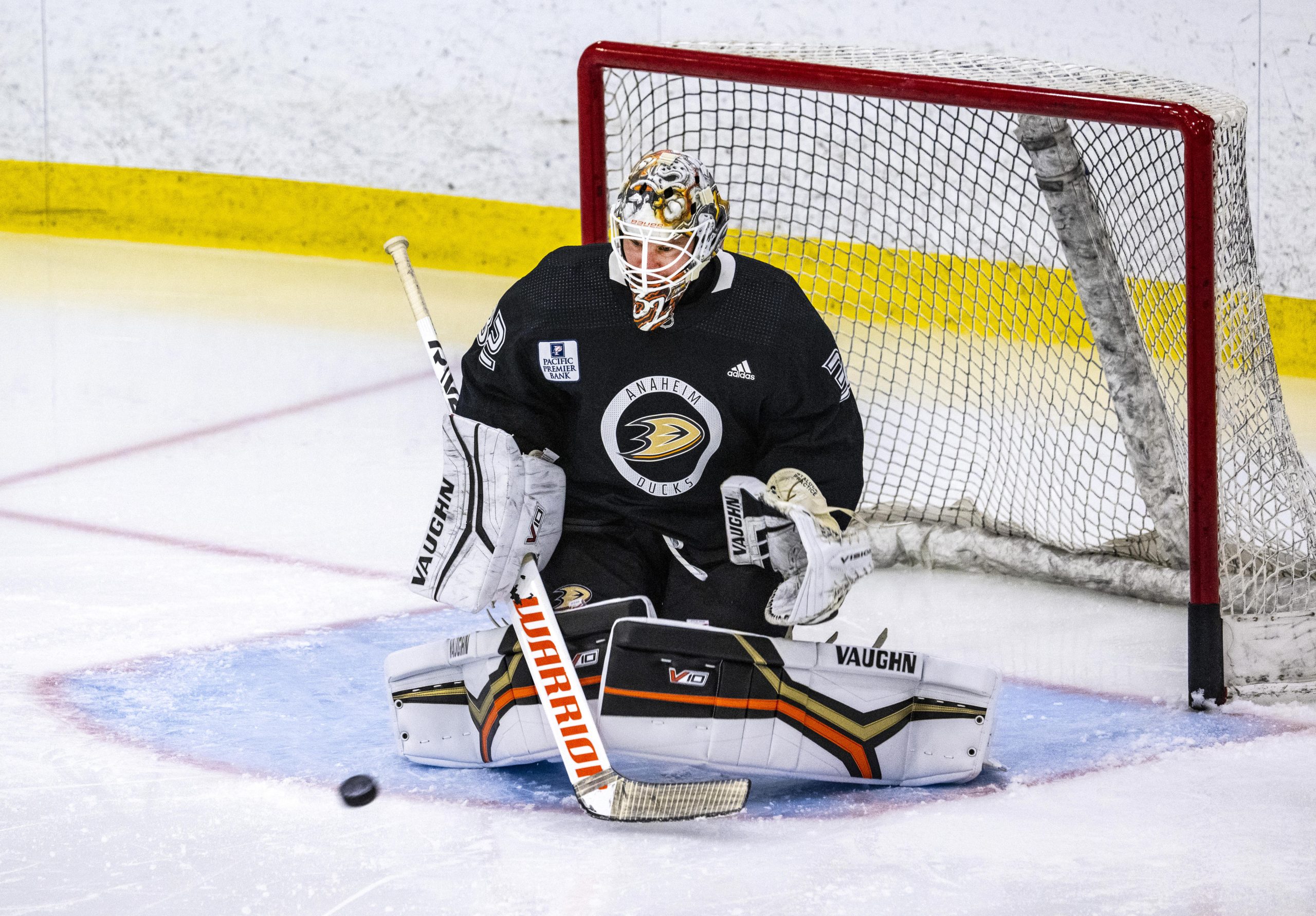 Ducks goaltender Alex Stalock, who has played 179 NHL games...