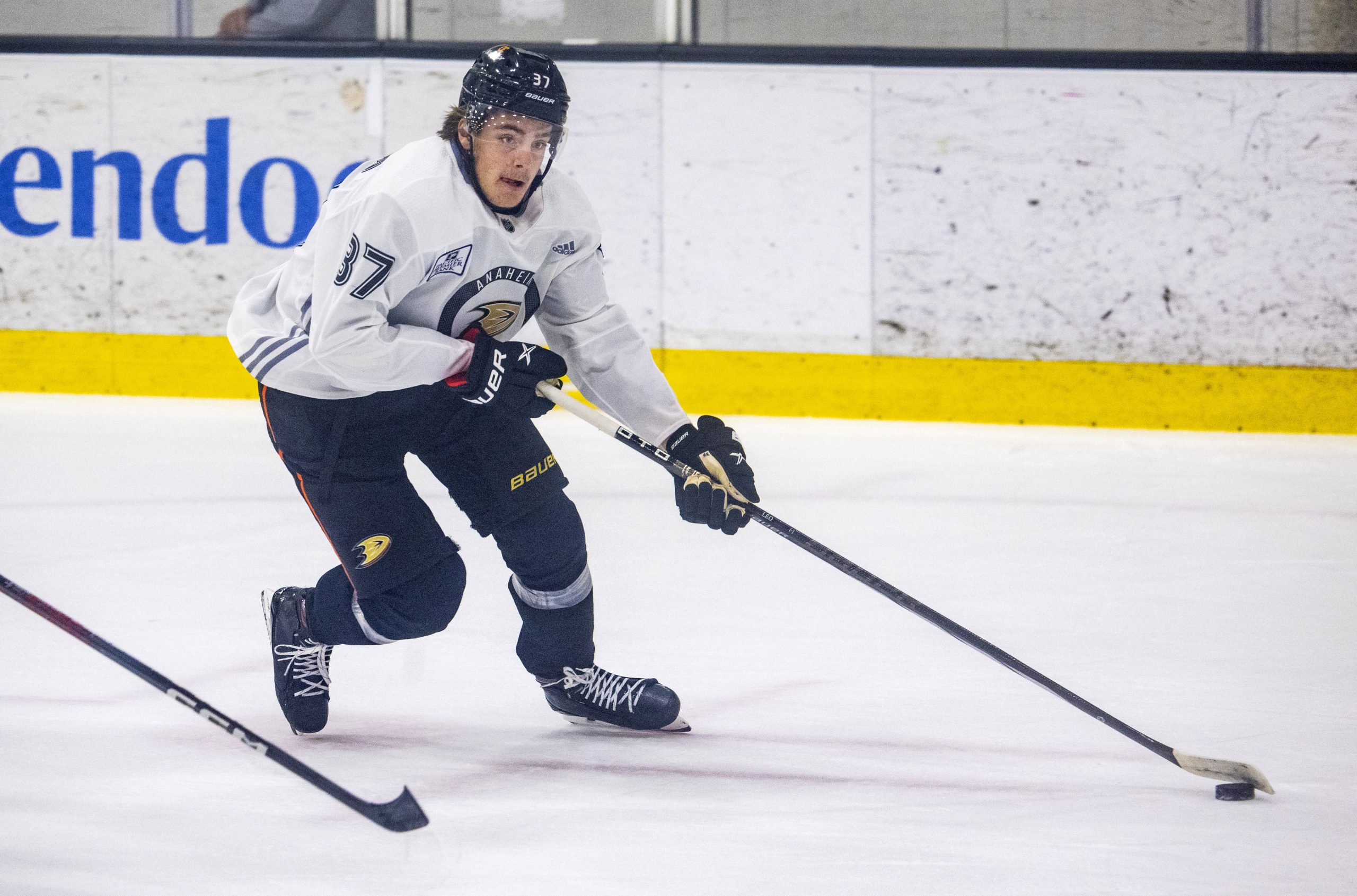 Ducks rookie Leo Carlsson skates with the puck during the...