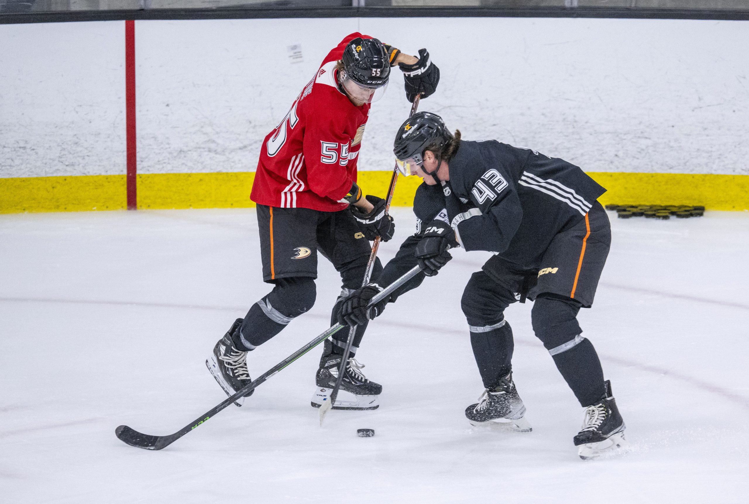 The Ducks’ Coulson Pitre, left, and Drew Helleson battle for...