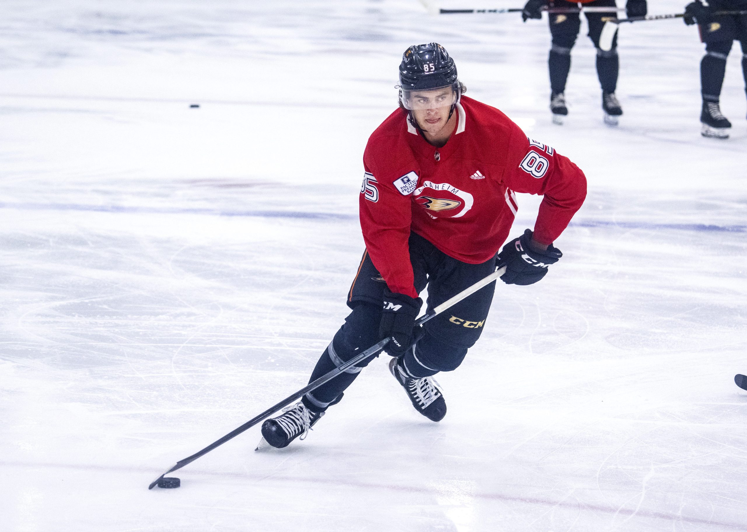 The Ducks’ Josh Lopina skates with the puck during the...