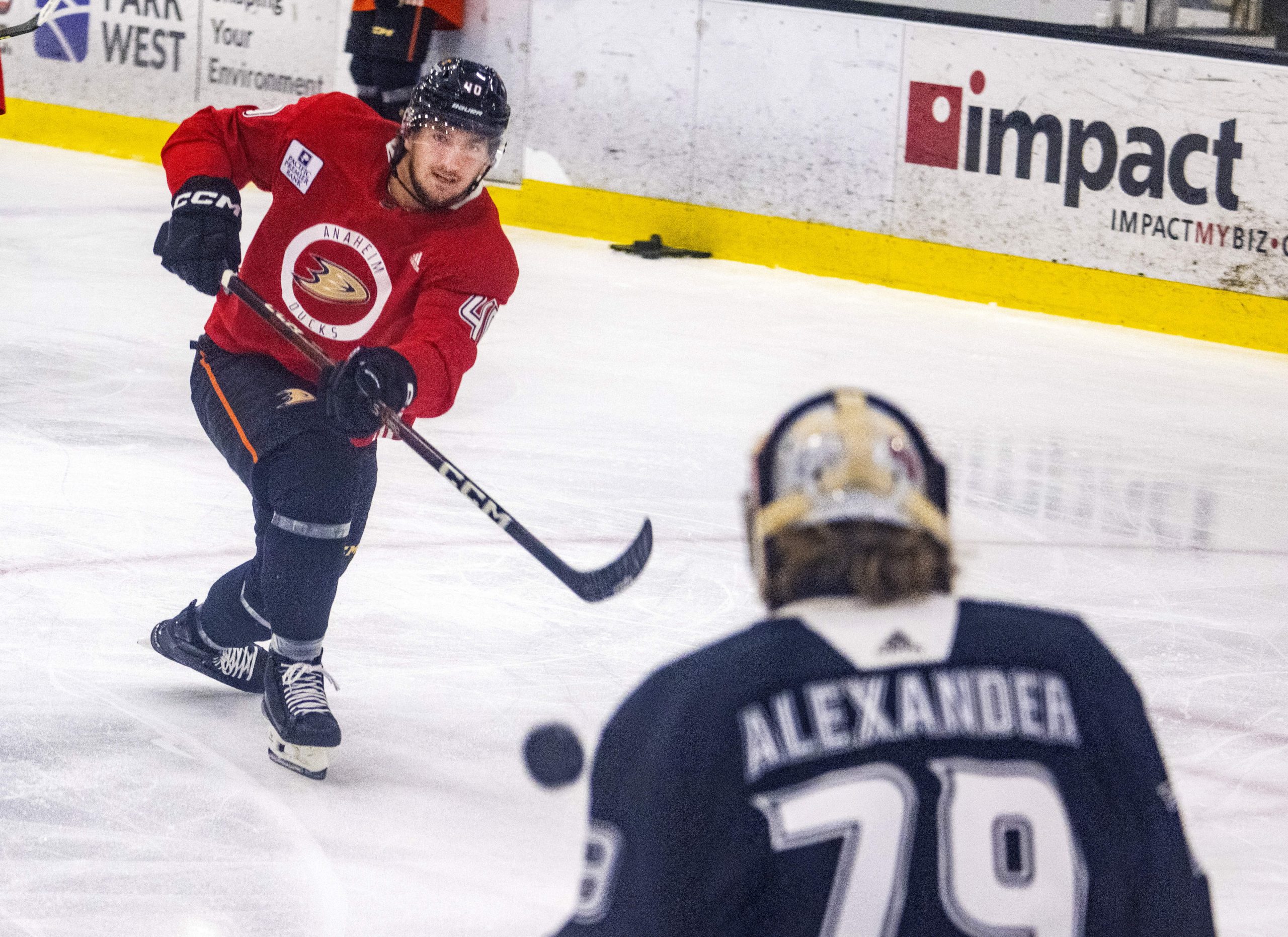 The Ducks’ Pavol Regenda takes a shot on goaltender Gage...