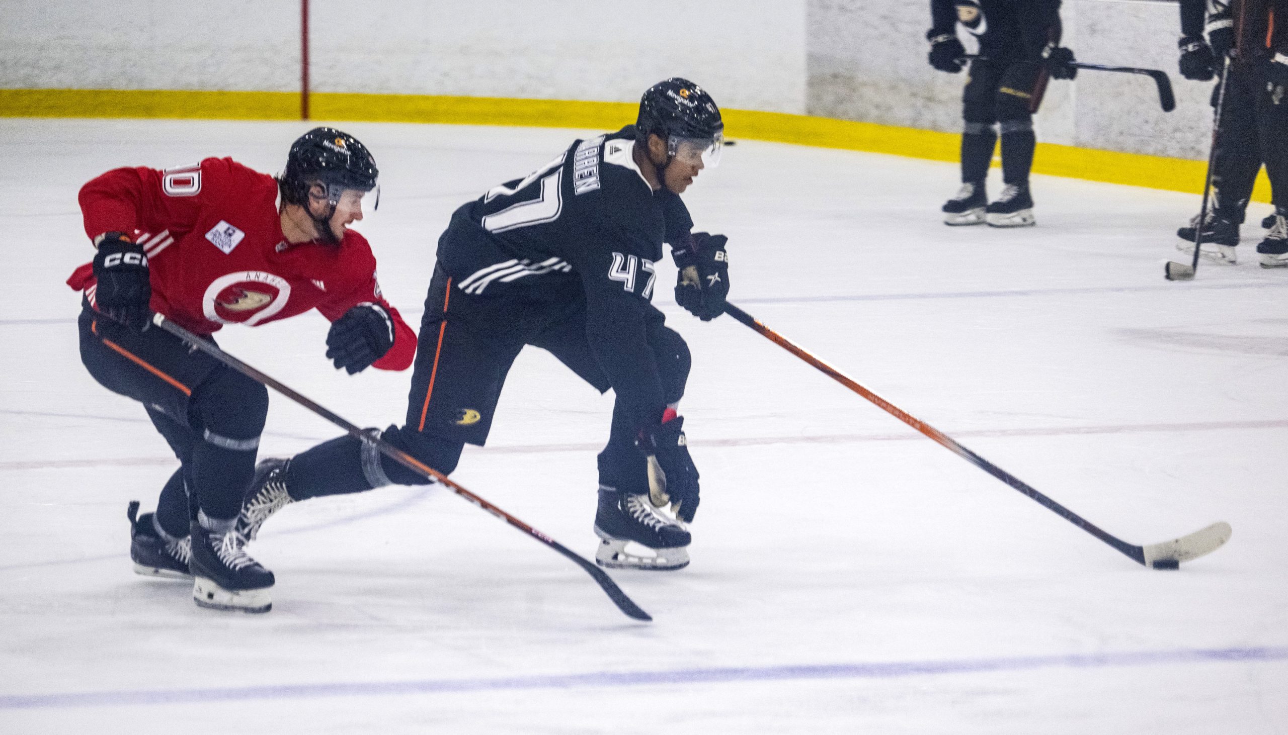 The Ducks’ Pavol Regenda, left, chases after Noah Warren as...