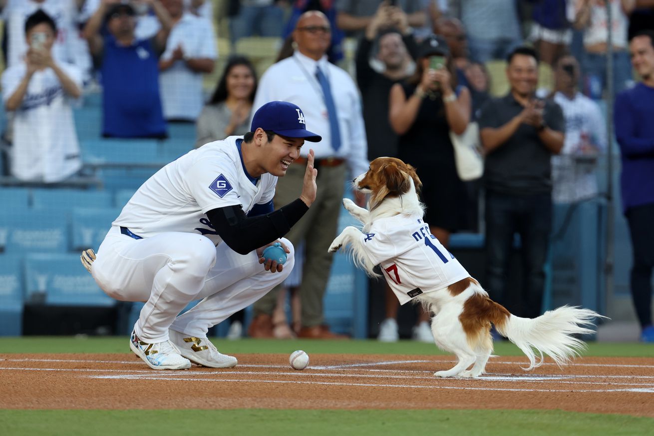 Baltimore Orioles v Los Angeles Dodgers