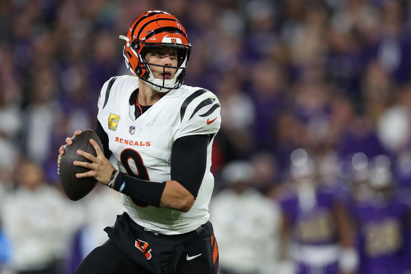 Cincinnati Bengals v Baltimore Ravens