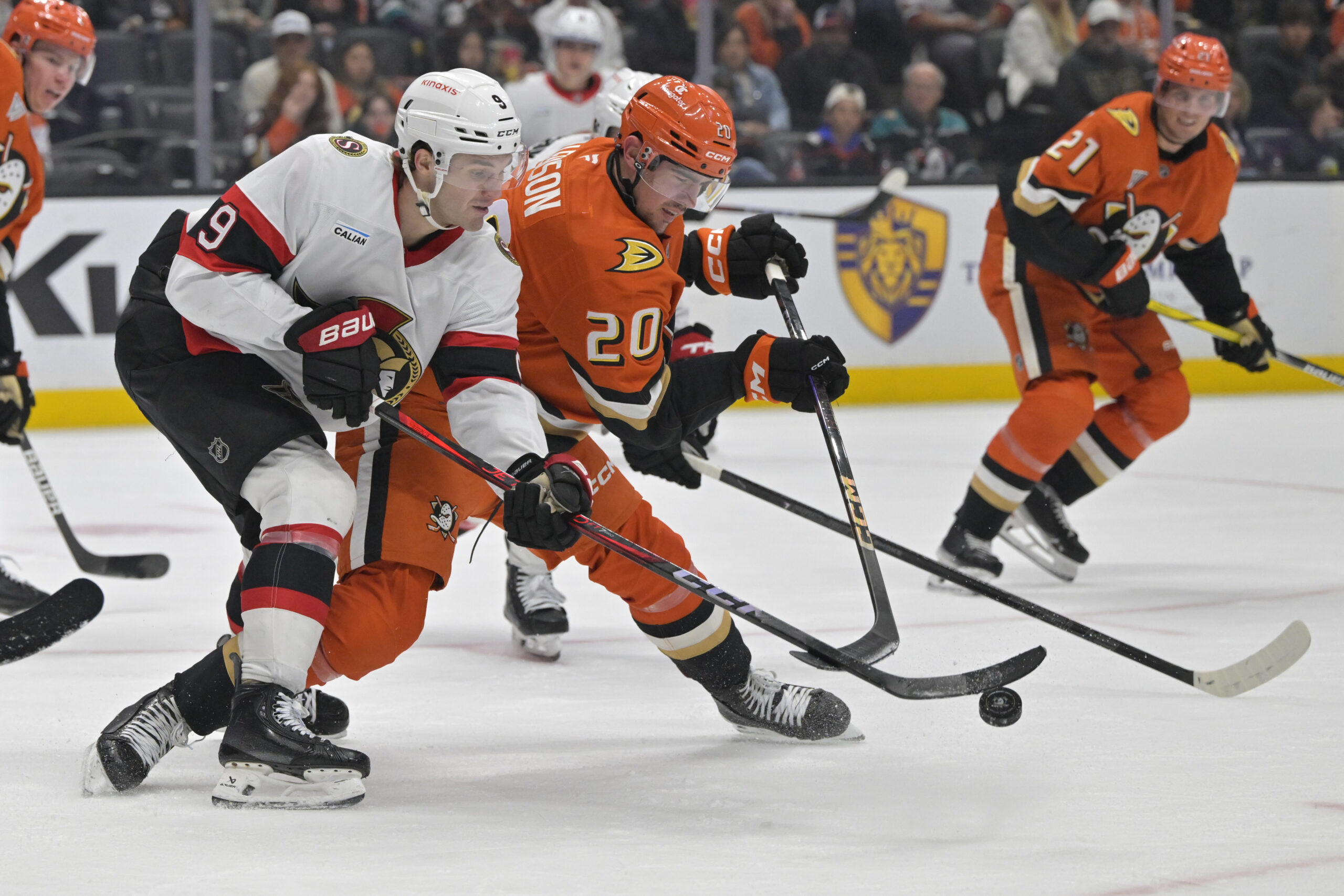 Ottawa Senators center Josh Norris (9) and Ducks right wing...