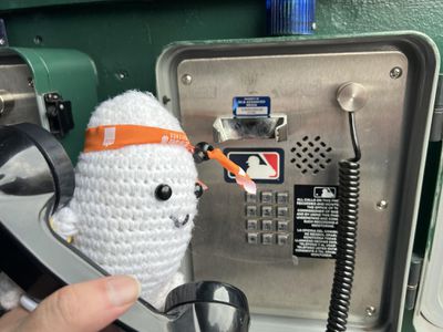 Adric using the bullpen phone at Nationals Park. July 20, 2023