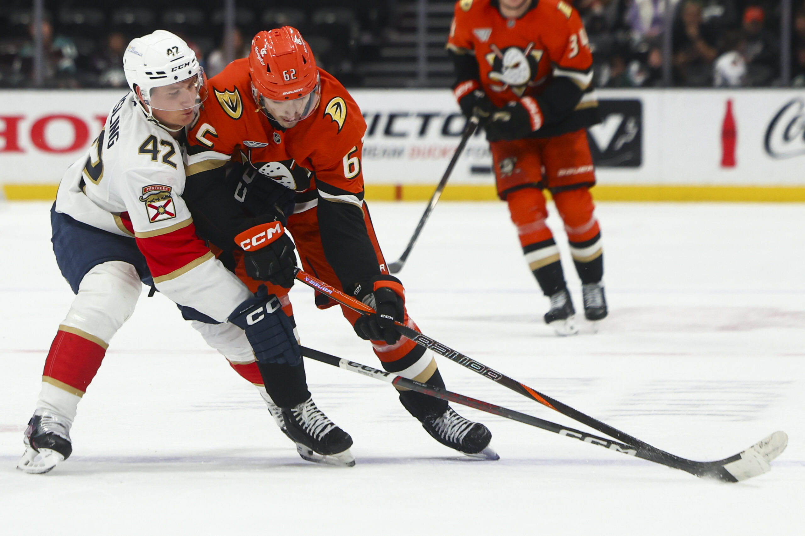 Florida Panthers defenseman Gustav Forsling (42) and Ducks center Nikita...