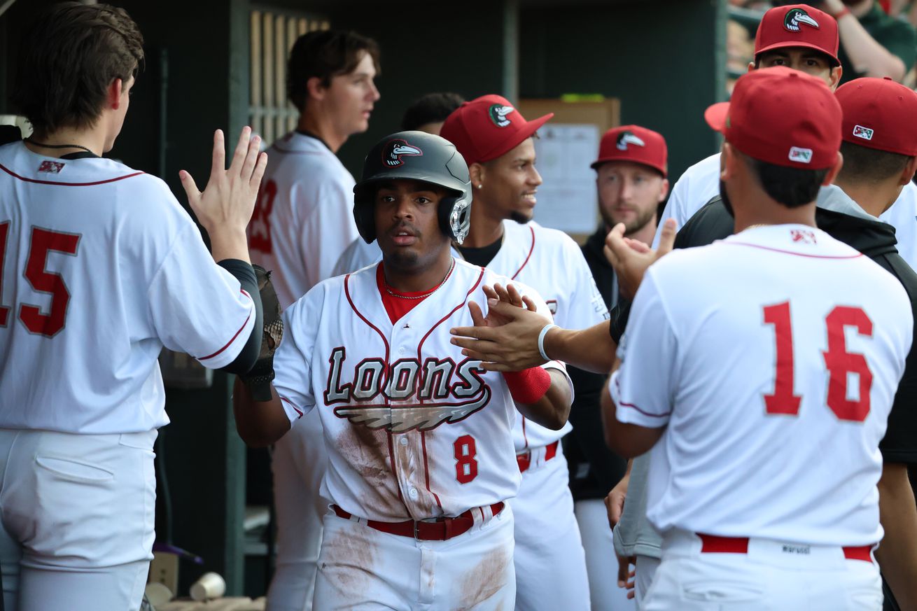 Dodgers prospect Dylan Campbell, playing for the High-A Great Lakes Loons in 2024