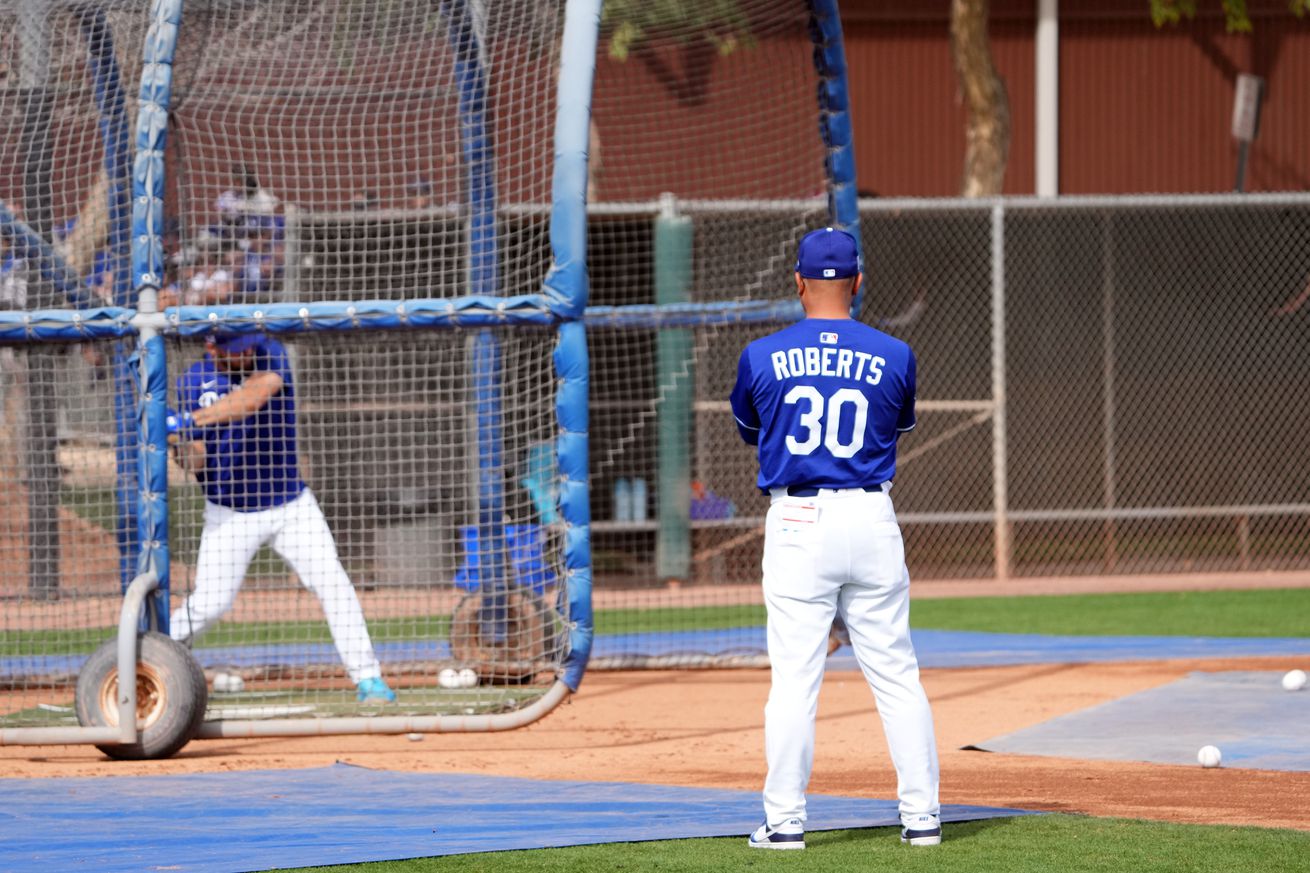 MLB: Los Angeles Dodgers-Workouts