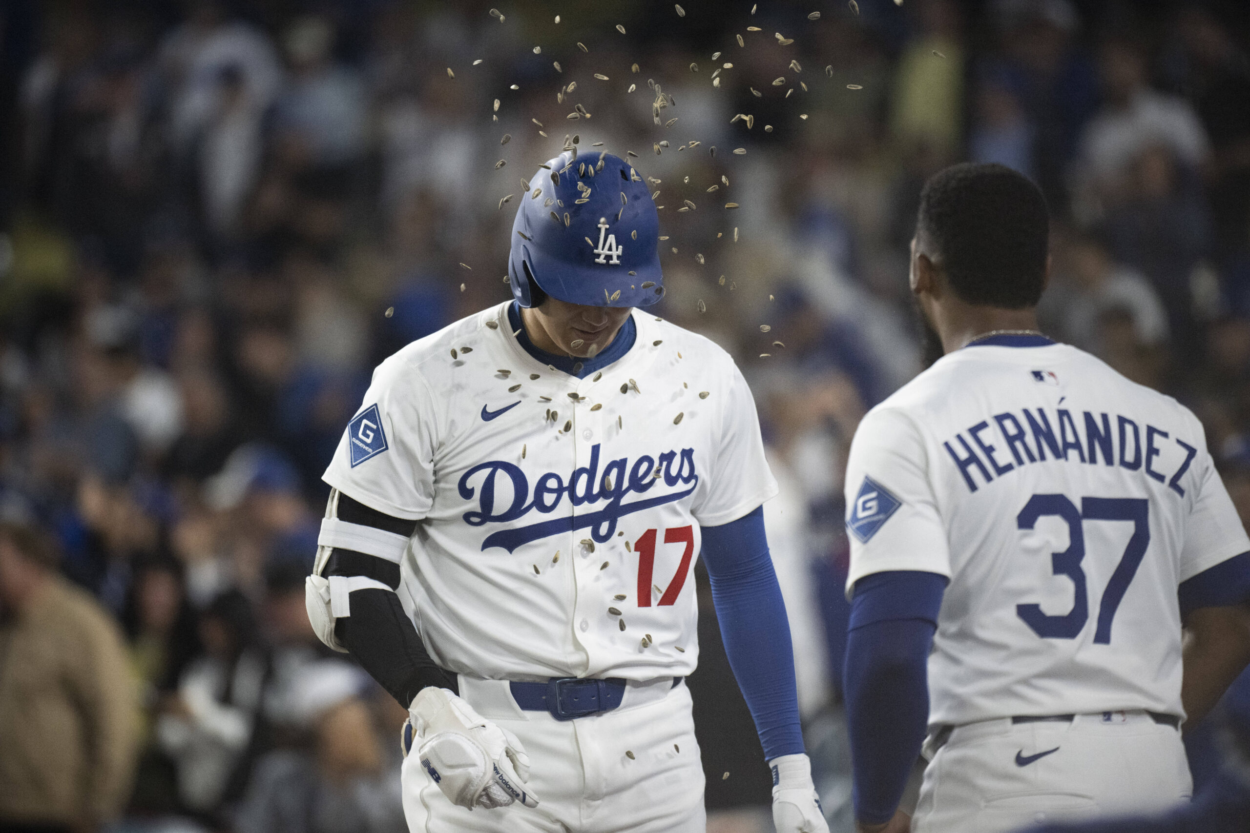 Dodgers’ Shohei Ohtani walks into the shower of sunflower seeds...