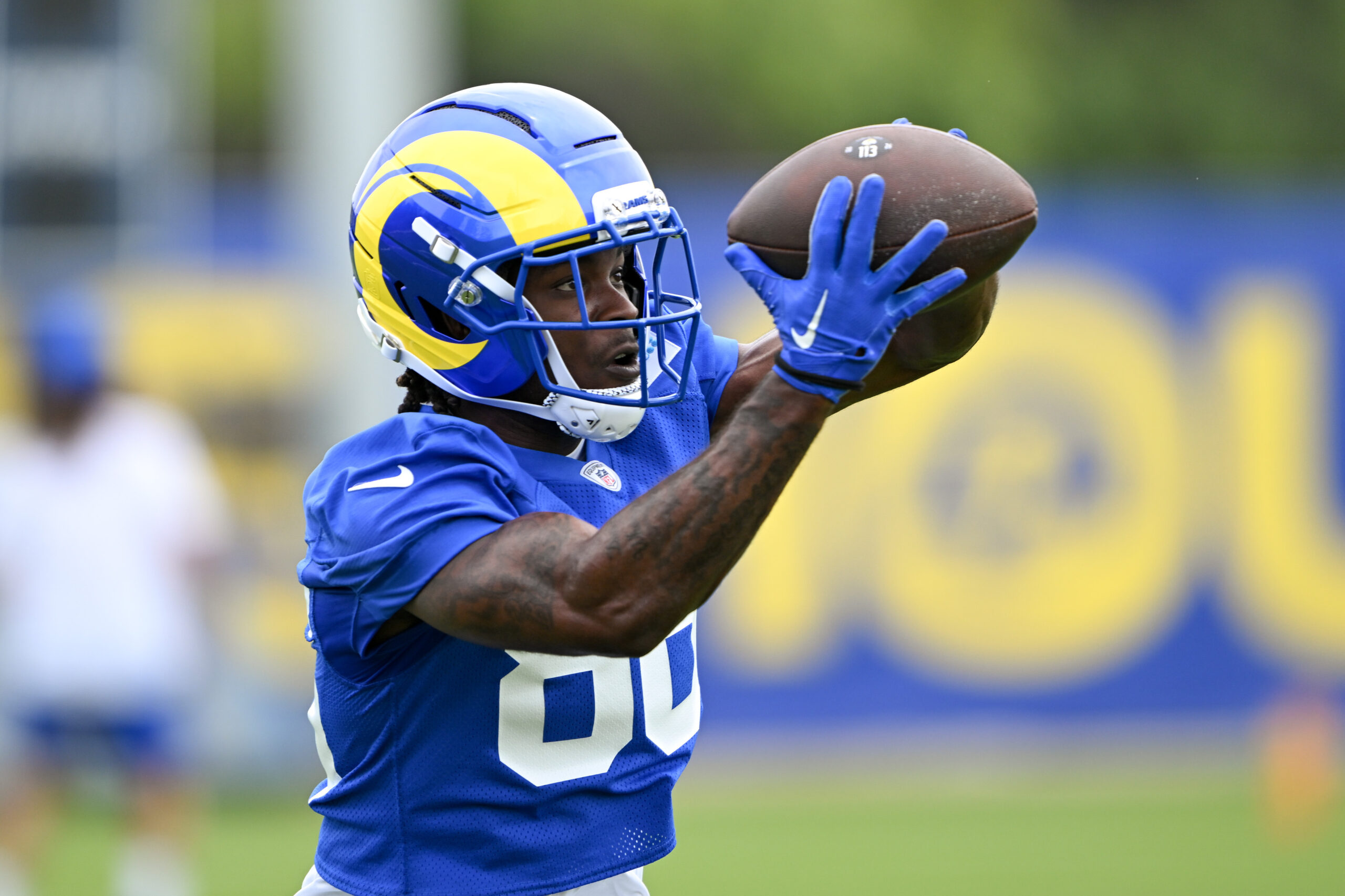 Rams wide receiver Mario Williams catches a ball during an...