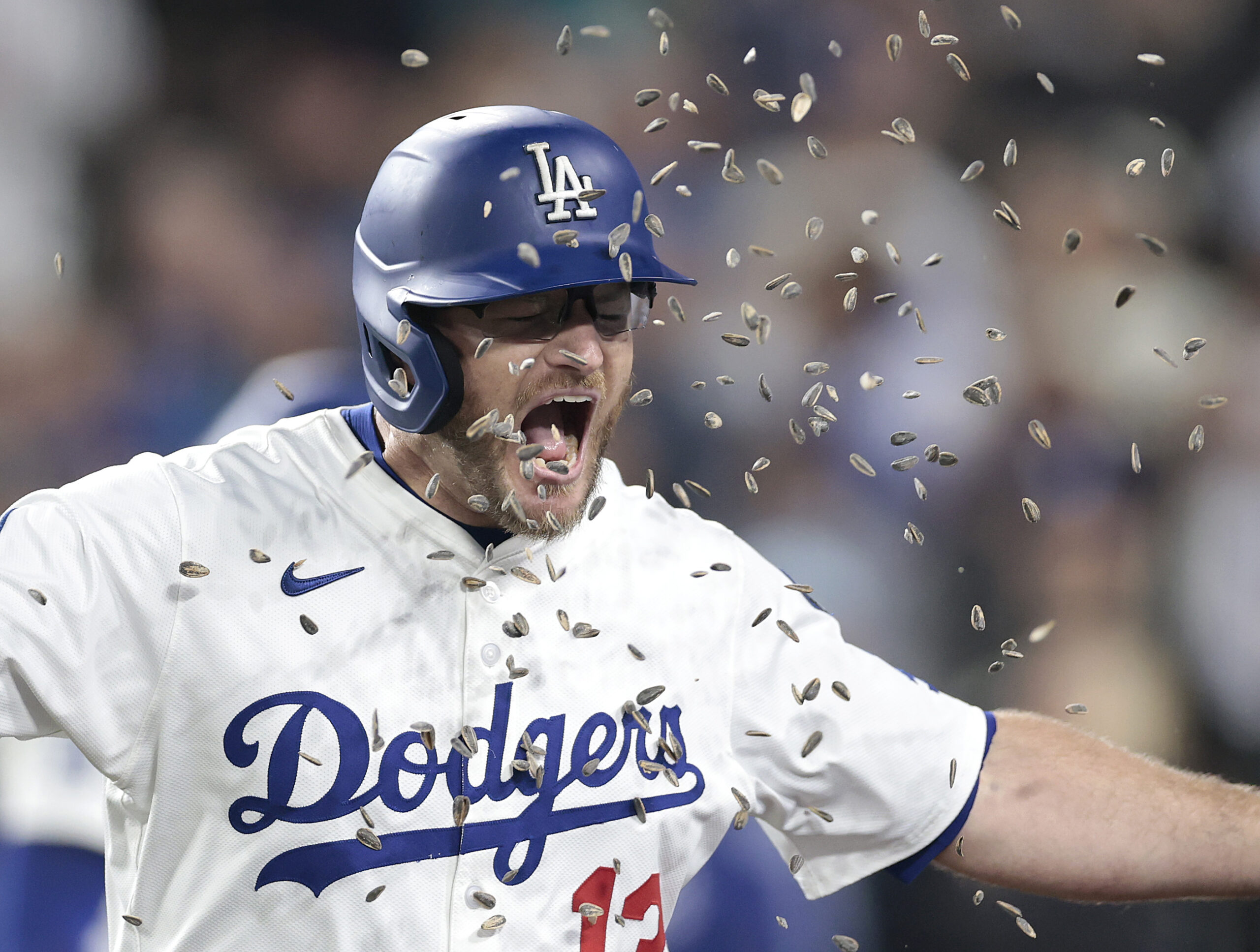 The Dodgers’ Max Muncy is showered with sunflower seeds as...