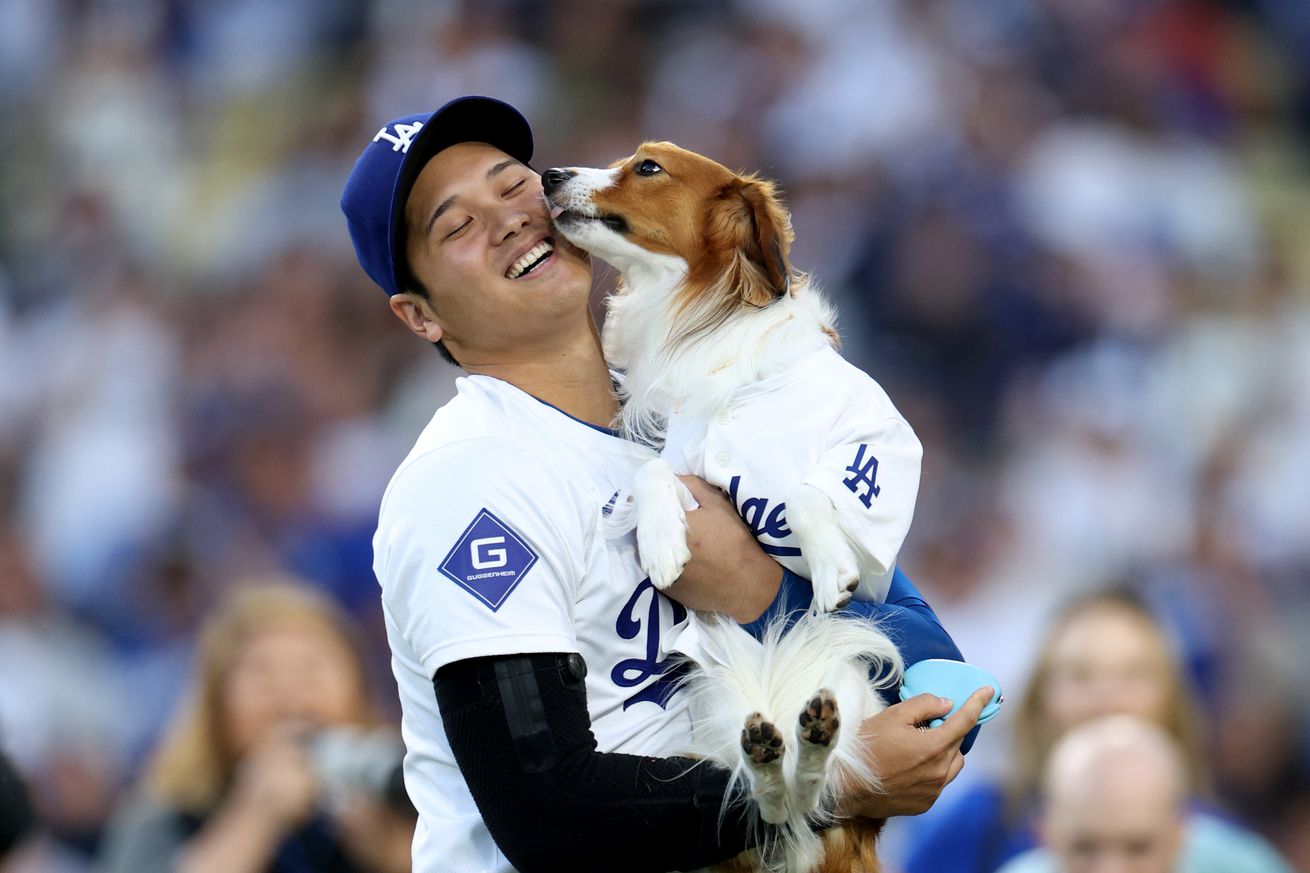 Baltimore Orioles v Los Angeles Dodgers