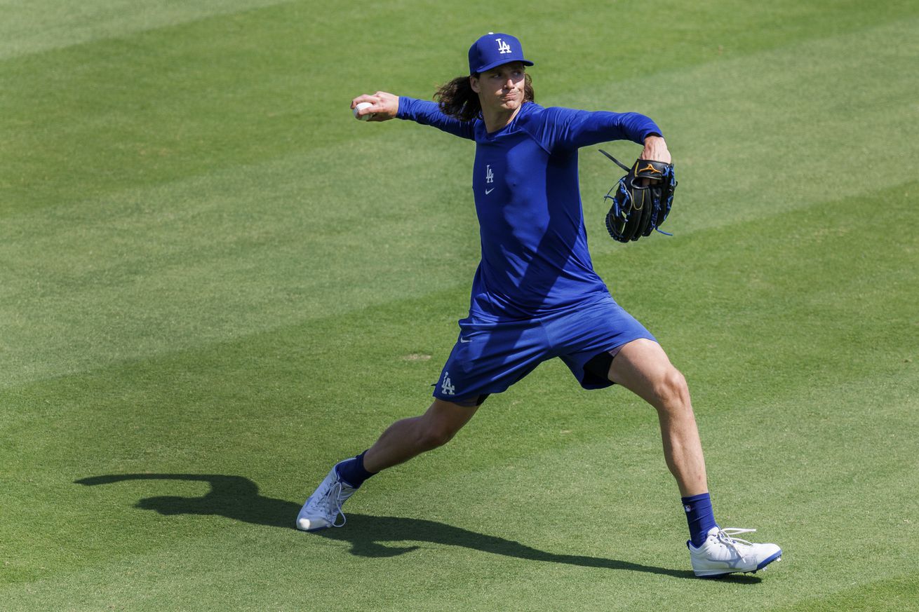 Dodgers vs Mets in Los Angeles, CA