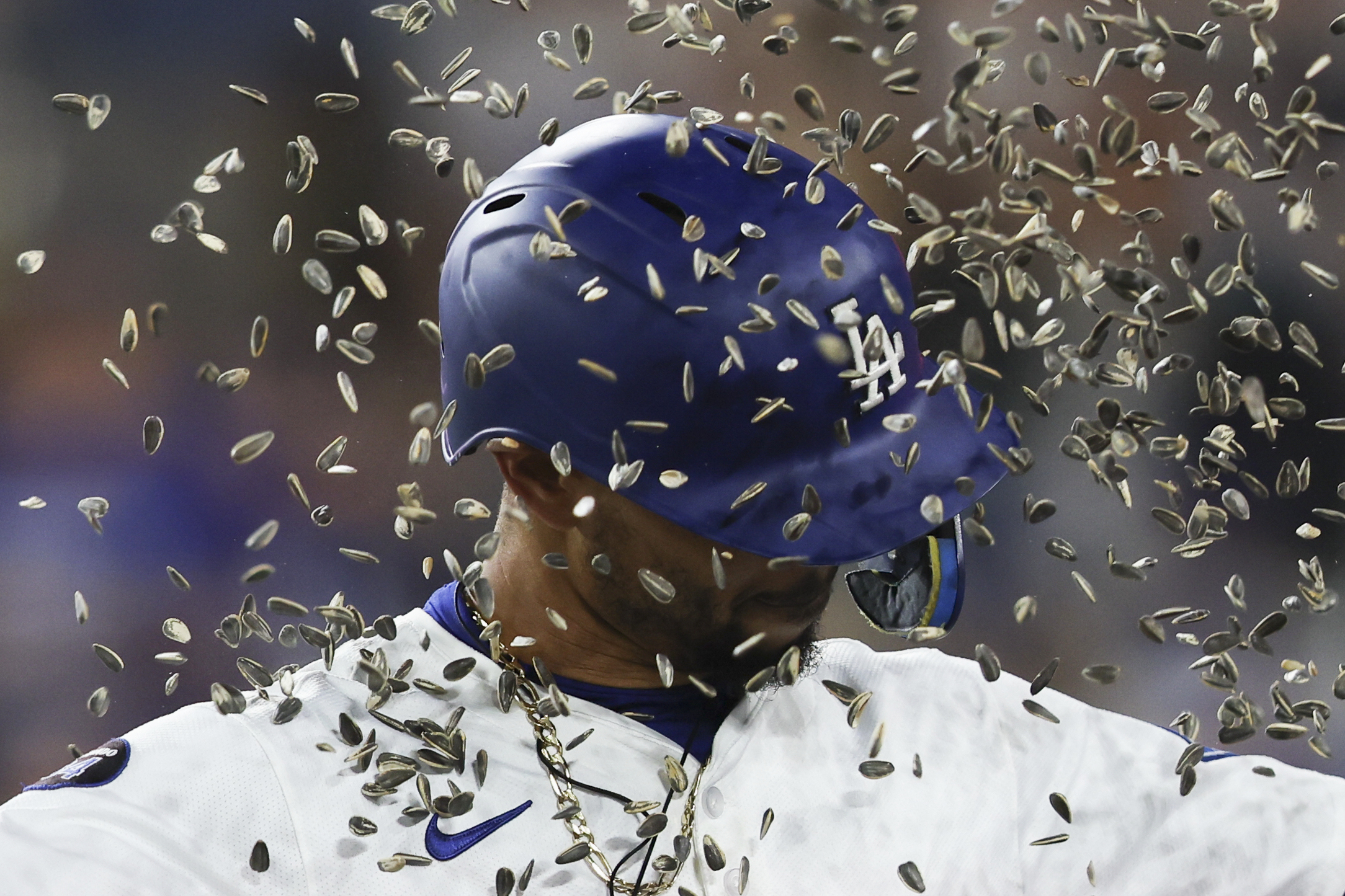 The Dodgers’ Mookie Betts is showered with sunflower seeds as...
