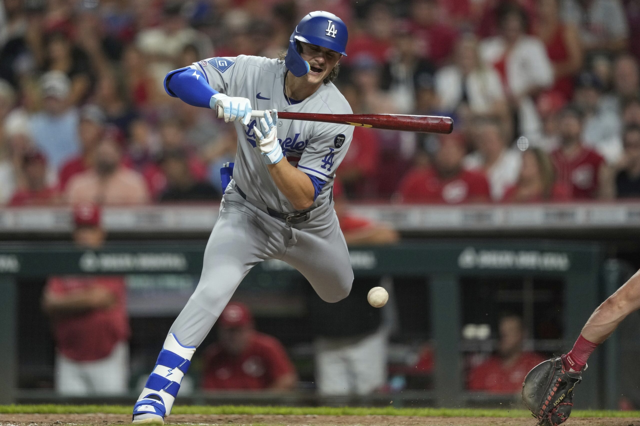The Dodgers’ Alex Freeland is hit by a pitch during...