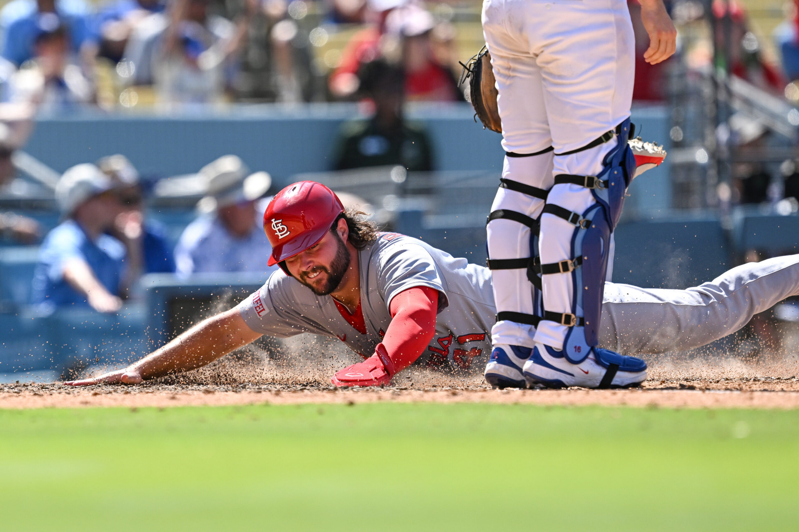 Cardinals Alec Burleson, #41, scores during 8th inning action on...