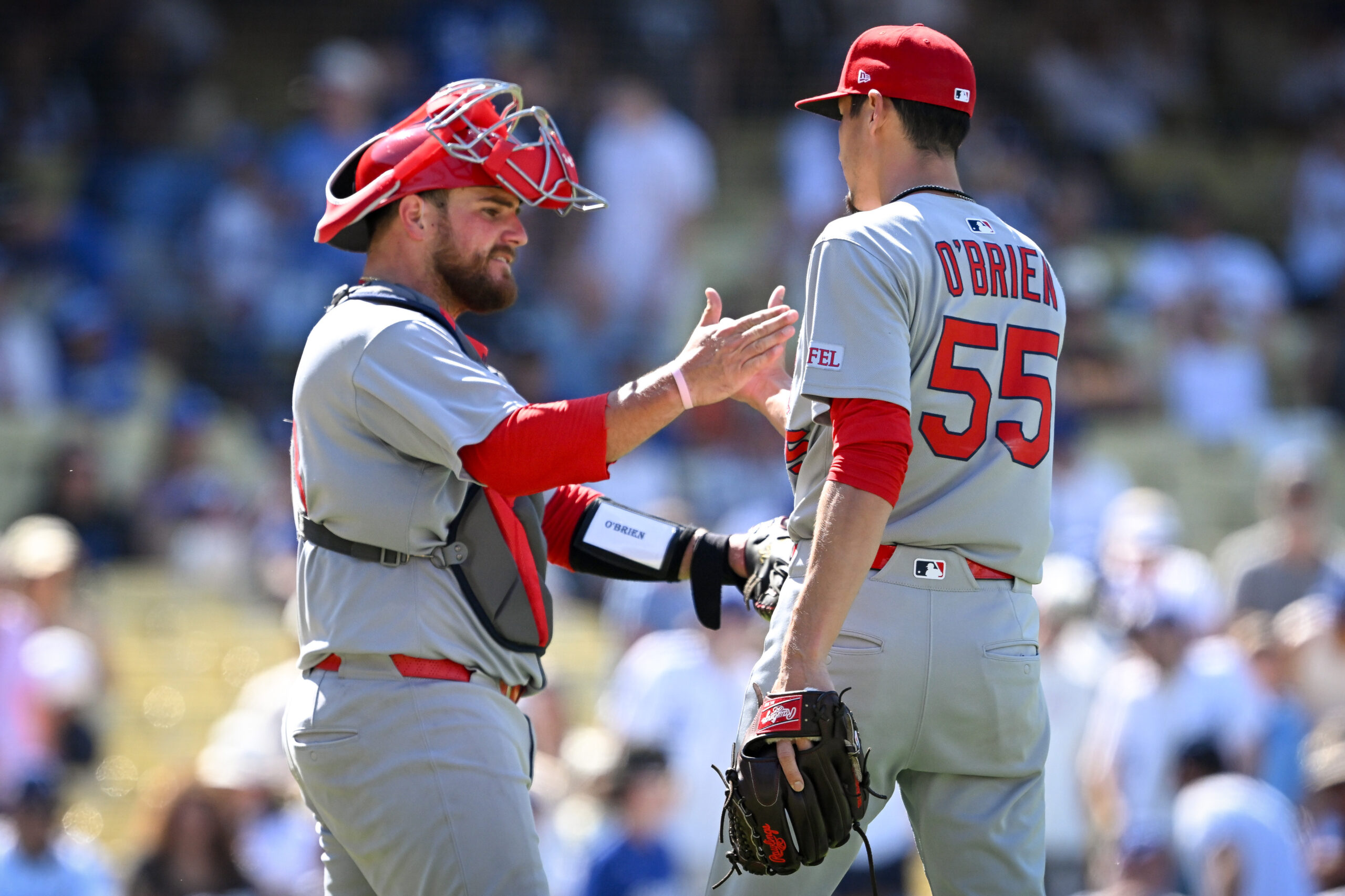 Cardinals Pedro Pages, #43, and Riley O’Brien, #55, celebrate a...