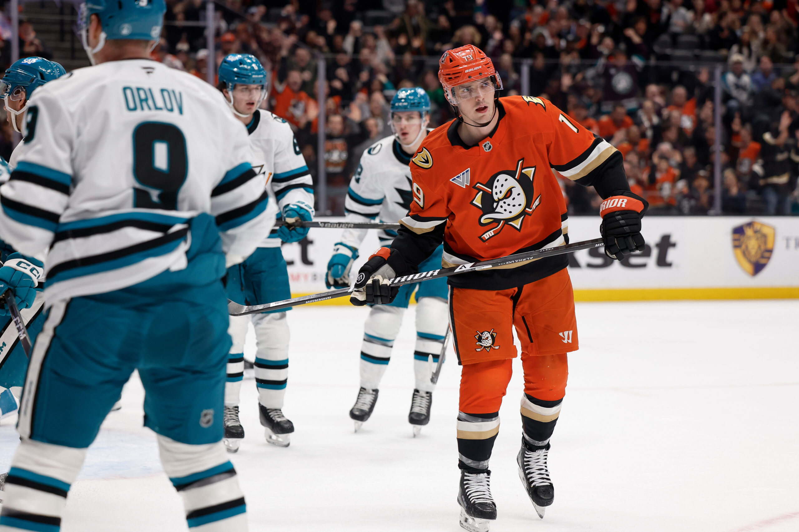 Ducks right wing Troy Terry (19) reacts after scoring during...