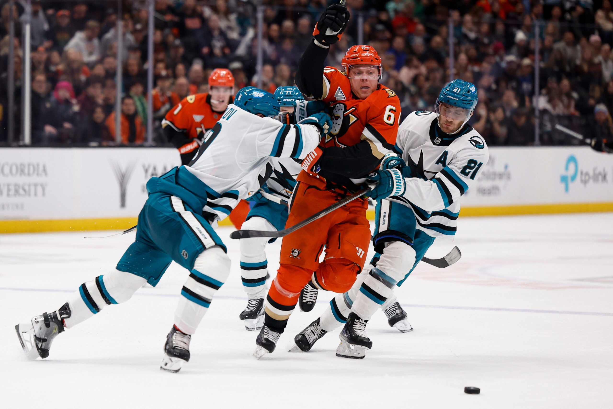 Ducks center Mikael Granlund (64) skates towards the puck as...