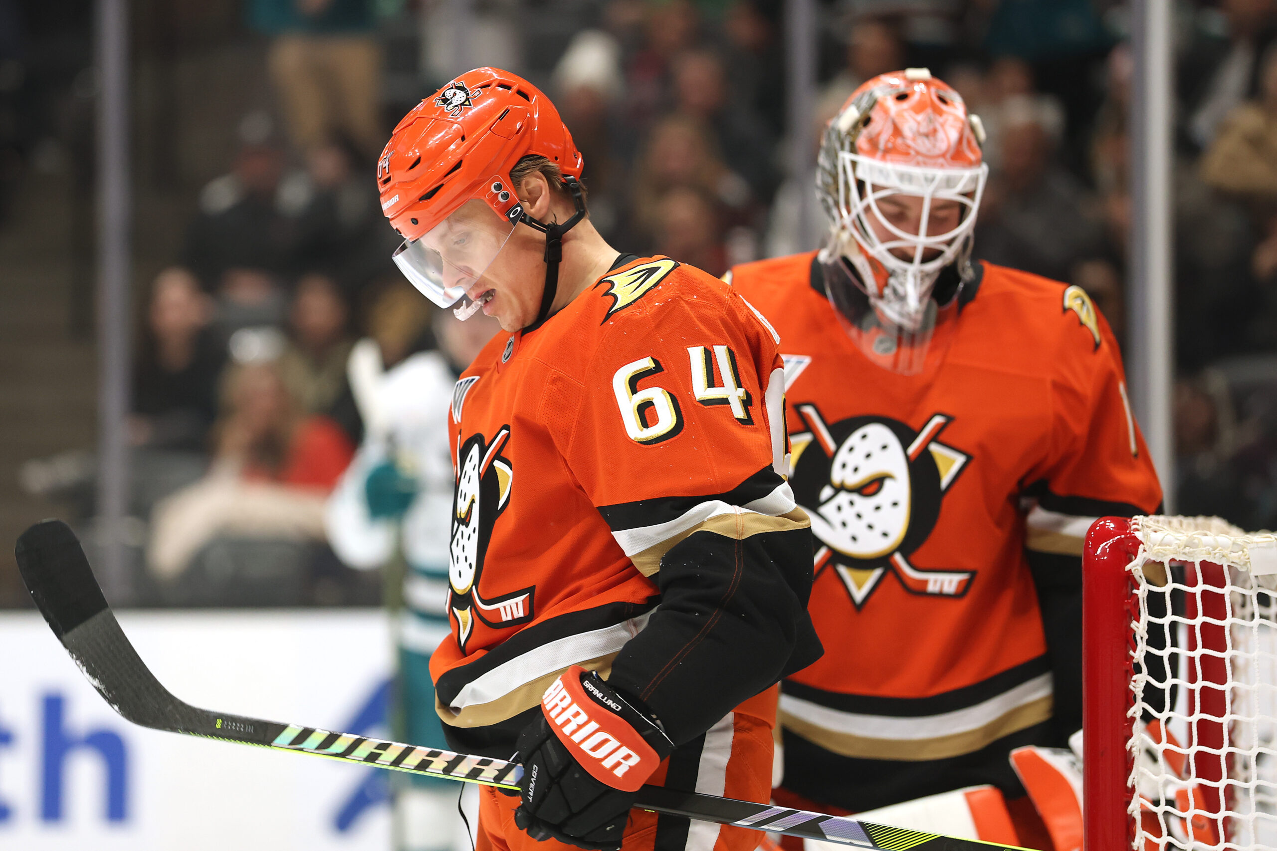The Ducks’ Mikael Granlund, left, and goaltender Lukas Dostal show...