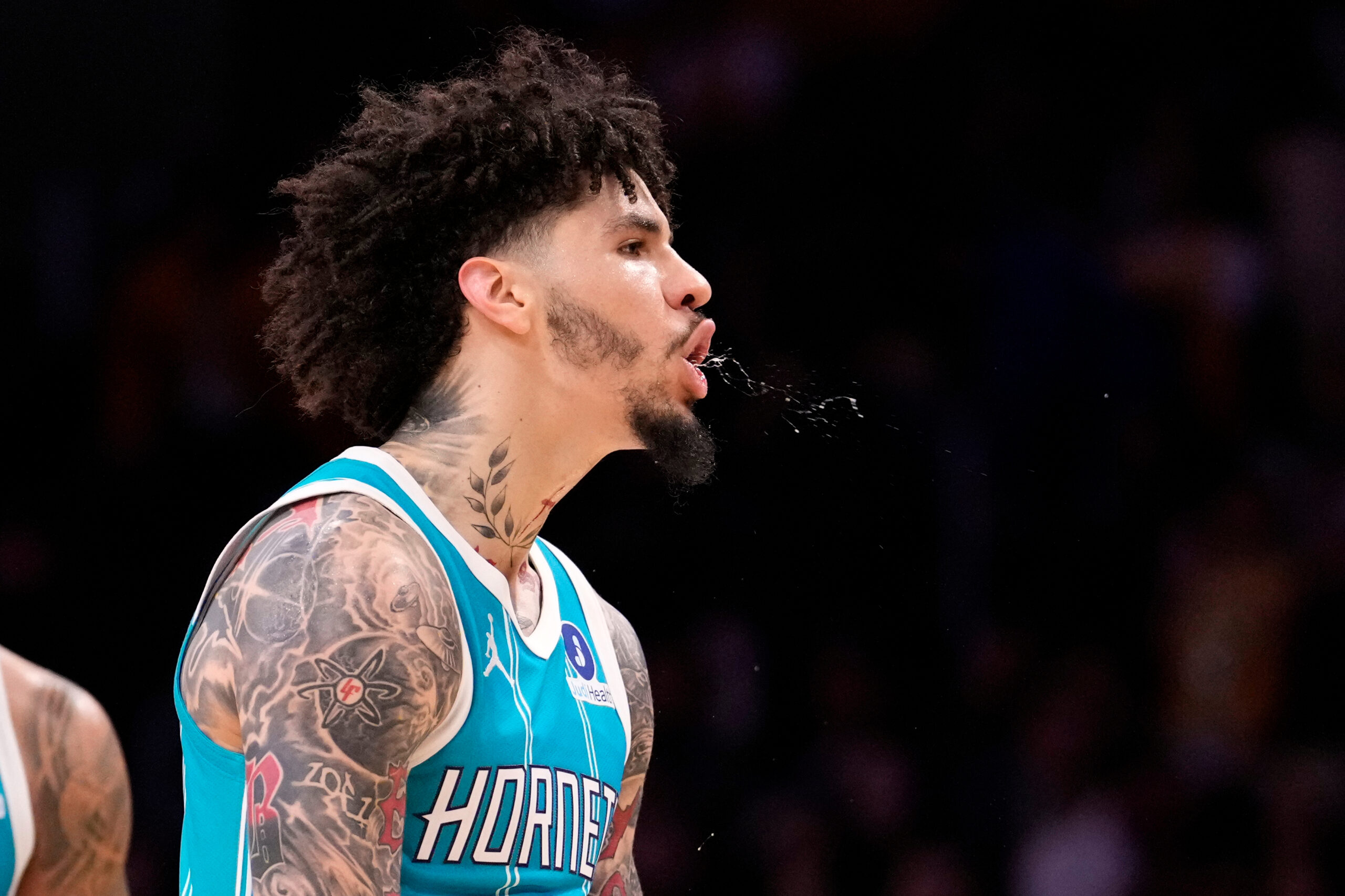 Charlotte Hornets guard LaMelo Ball celebrates during the second half...